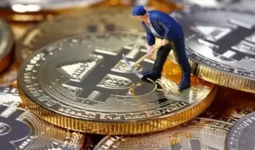 揭开牧牛区块链大骗局的真相：投资者需警惕的陷阱