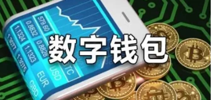 怎么可以下载数字钱包?币圈新手必备怎么可以下载数字钱包